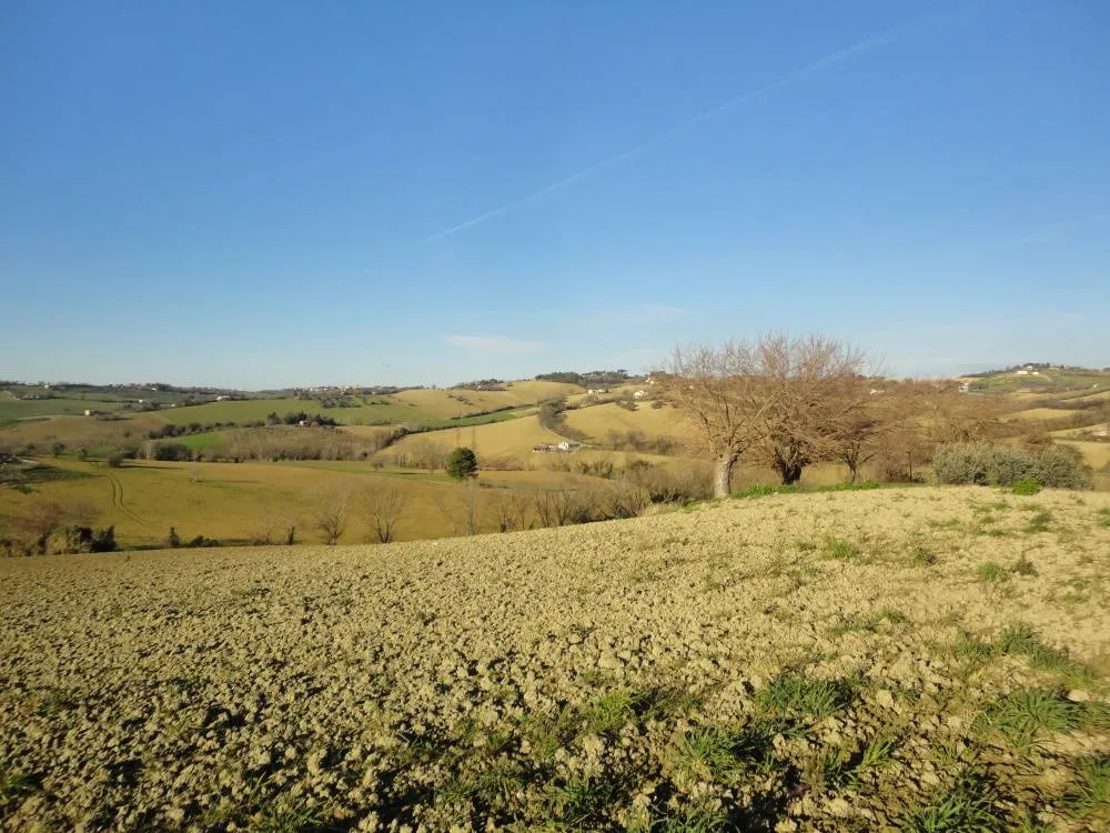 Rustico/Casale in vendita a Jesi - foto 2