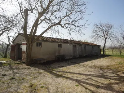Rustico/Casale in vendita a Cingoli - foto 6