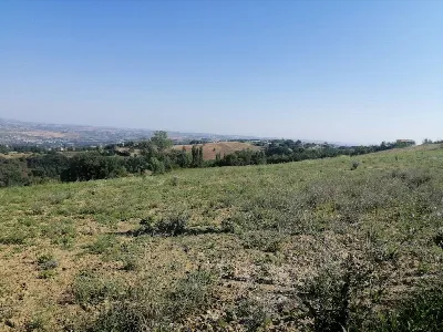 Rustico/Casale in vendita a Poggio San Mar... - foto 3