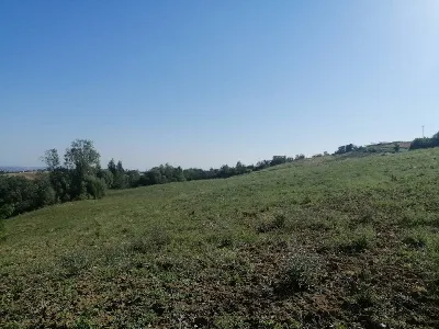 Rustico/Casale in vendita a Poggio San Mar... - foto 4