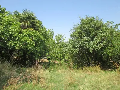 Rustico/Casale in vendita a Mergo - foto 8