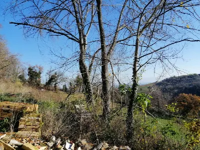 Villa in vendita a Poggio San Marcello - foto 6