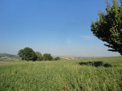 Rustico/Casale in vendita a Cingoli - foto 9