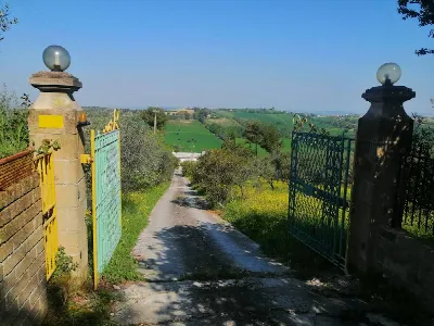 Villa in vendita a Santa Maria Nuova - foto 6