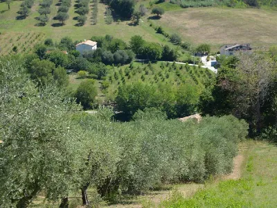 Rustico/Casale in vendita a Castelplanio - foto 10