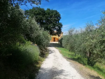 Rustico/Casale in vendita a Castelplanio - foto 7