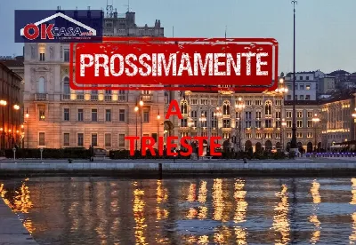 Casa Indipendente in vendita a Trieste, Ce... - foto 2