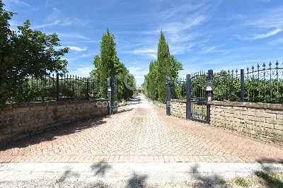 Villa in vendita a Manziana - foto 3