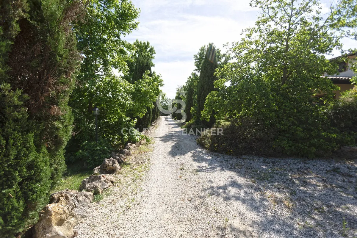 Villa in vendita a Manziana - foto 4