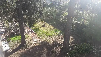 Villa in vendita a Cairate - foto 10