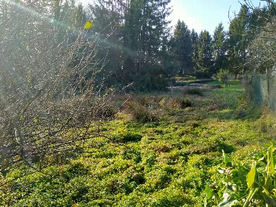 Rustico/Casale in vendita a Casale Litta - foto 2