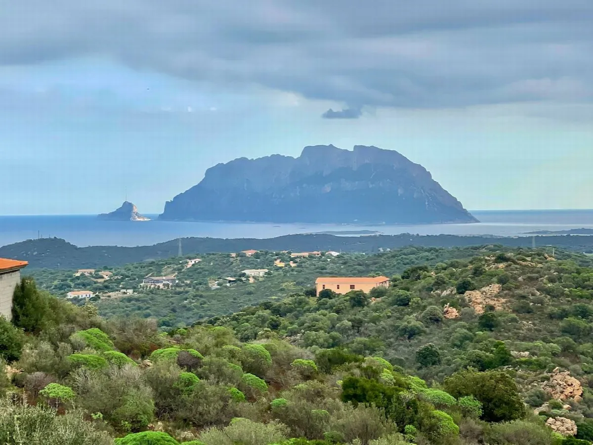 Villa in vendita a Olbia - foto 3