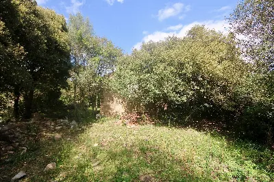 Rustico/Casale in vendita a Sant'Antonio d... - foto 10