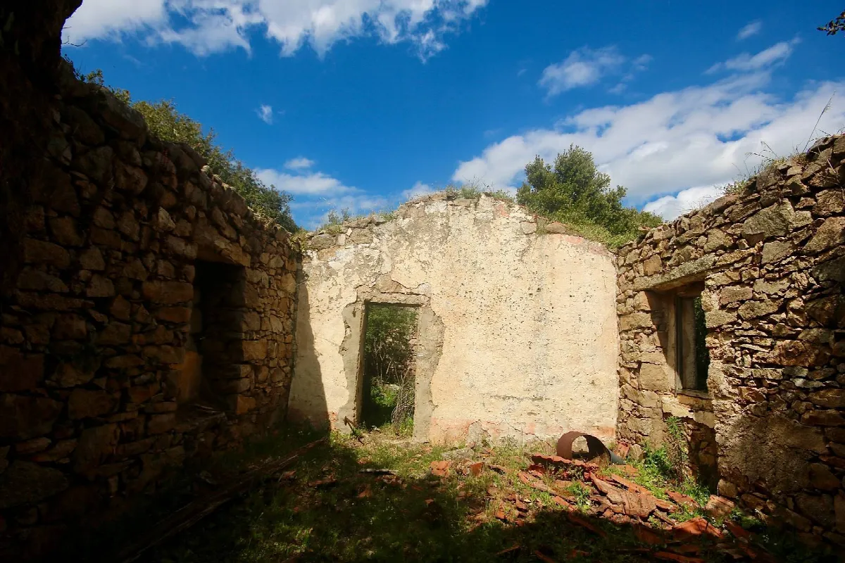 Rustico/Casale in vendita a Sant'Antonio di Gallura - foto 2