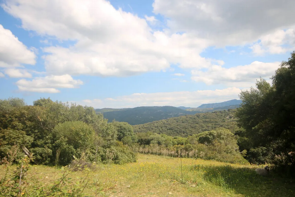 Rustico/Casale in vendita a Sant'Antonio di Gallura - foto 4