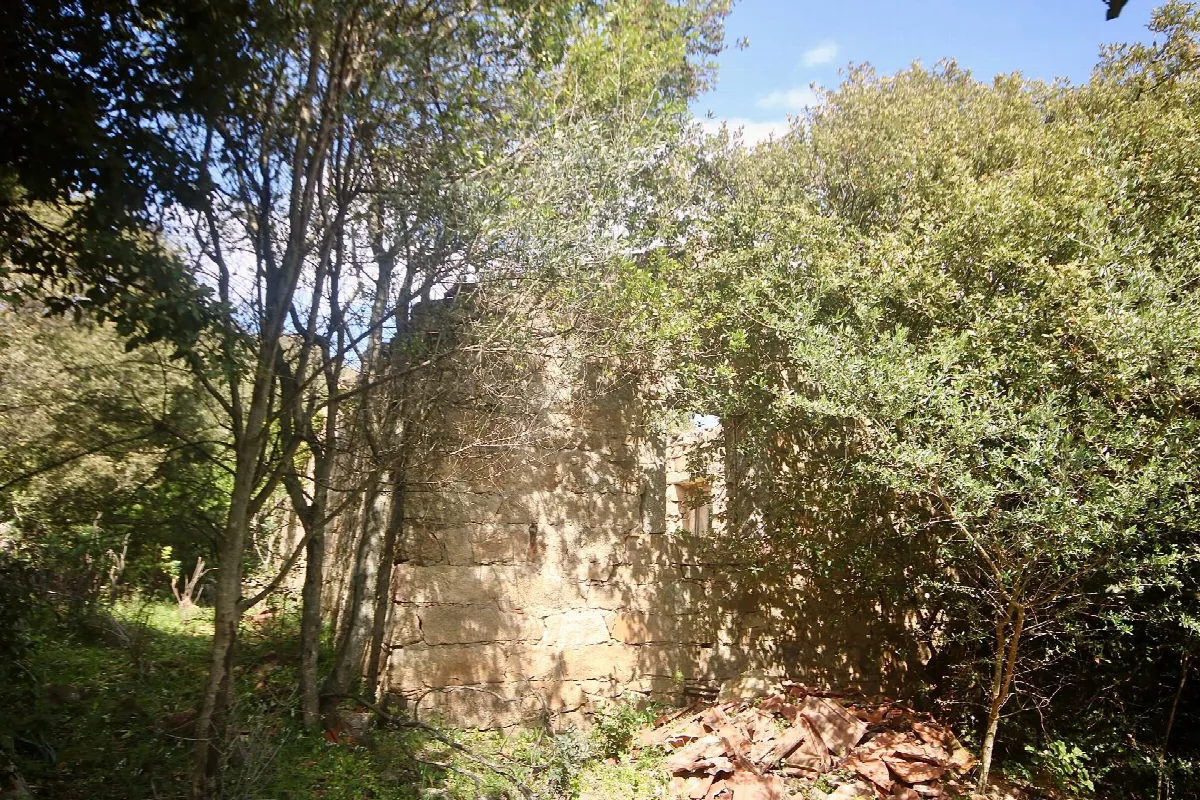Rustico/Casale in vendita a Sant'Antonio di Gallura - foto 5