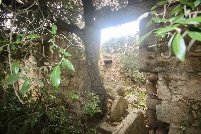 Rustico/Casale in vendita a Sant'Antonio d... - foto 6
