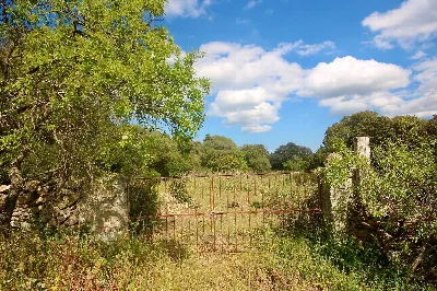 Rustico/Casale in vendita a Sant'Antonio d... - foto 7