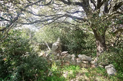 Rustico/Casale in vendita a Sant'Antonio d... - foto 8