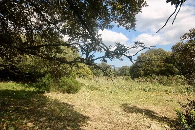 Rustico/Casale in vendita a Sant'Antonio d... - foto 9