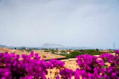 Villa in vendita a San Teodoro - foto 3
