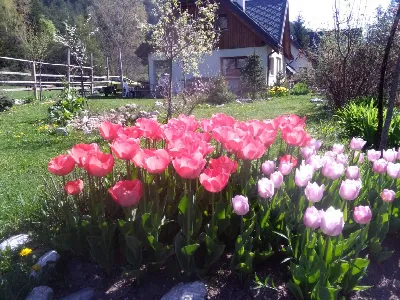Villa in vendita a Malborghetto Valbruna - foto 1