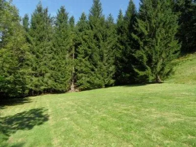 Rustico/Casale in vendita a Tarvisio - foto 4