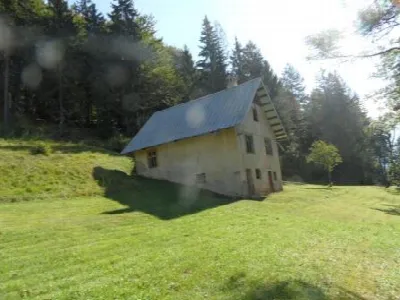 Rustico/Casale in vendita a Tarvisio - foto 5