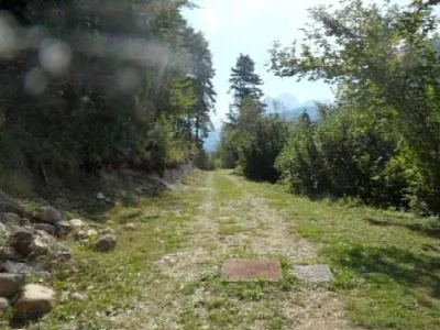 Rustico/Casale in vendita a Tarvisio - foto 9
