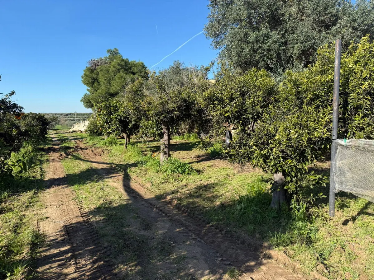 Villa in vendita a Massafra - foto 4