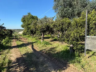 Villa in vendita a Massafra - foto 4