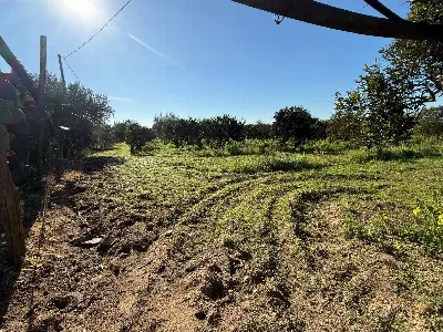 Villa in vendita a Massafra - foto 6