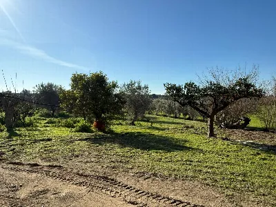 Villa in vendita a Massafra - foto 7