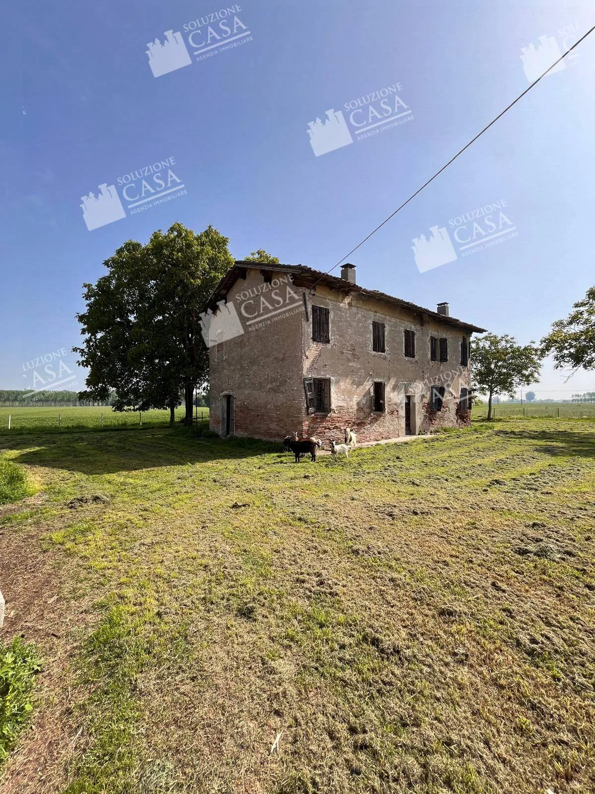 Rustico/Casale in vendita a Pieve di Cento - foto 3