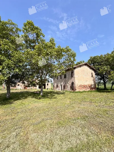 Rustico/Casale in vendita a Pieve di Cento - foto 4