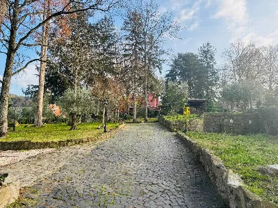 Villa in vendita a Marino - foto 2