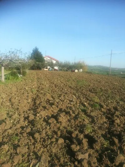 Casa Indipendente in vendita a Montenero d... - foto 6