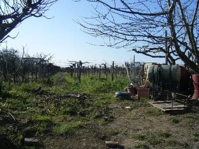 Villa in vendita a Pollutri - foto 3