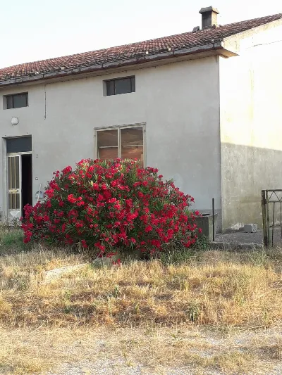 Rustico/Casale in vendita a Paglieta - foto 3