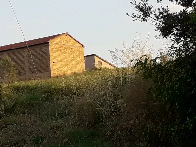 Rustico/Casale in vendita a Paglieta - foto 8