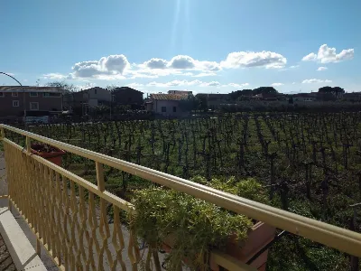 Casa Indipendente in vendita a Casalbordin... - foto 9