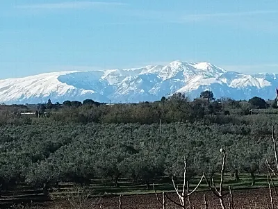 Villa in vendita a Vasto - foto 4