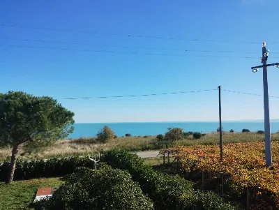 Villa in vendita a Vasto - foto 5