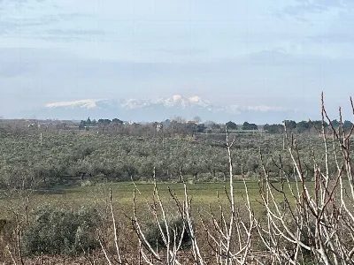 Villa in vendita a Vasto - foto 7