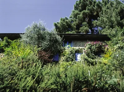 Rustico/Casale in vendita a Pietrasanta - foto 10