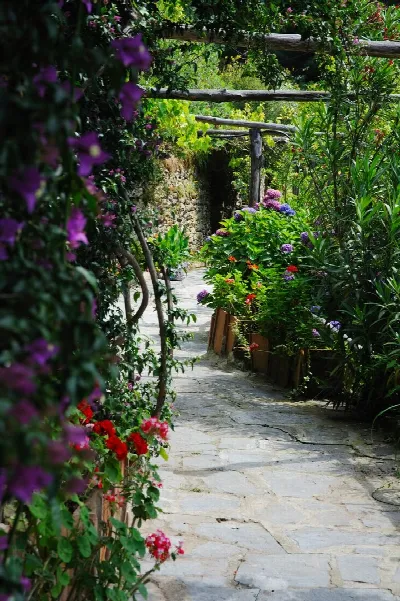 Rustico/Casale in vendita a Pietrasanta - foto 9