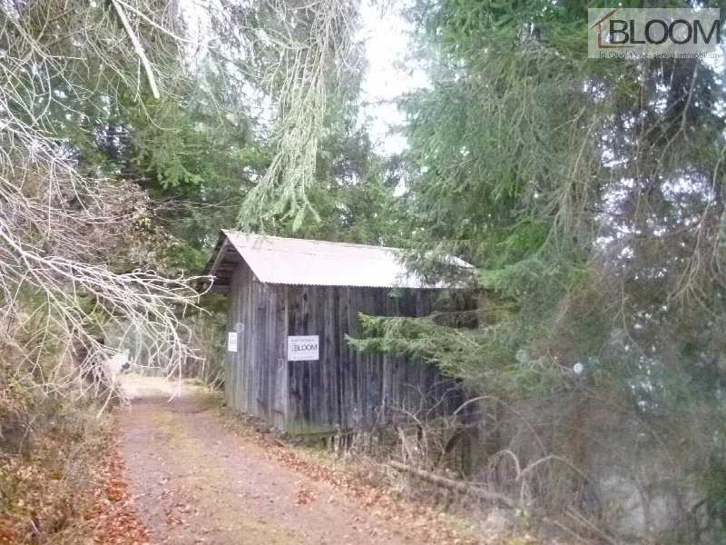 Rustico/Casale in vendita a Valle di Cadore - foto 1