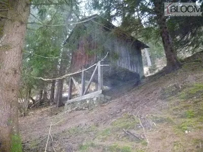 Rustico/Casale in vendita a Valle di Cador... - foto 2