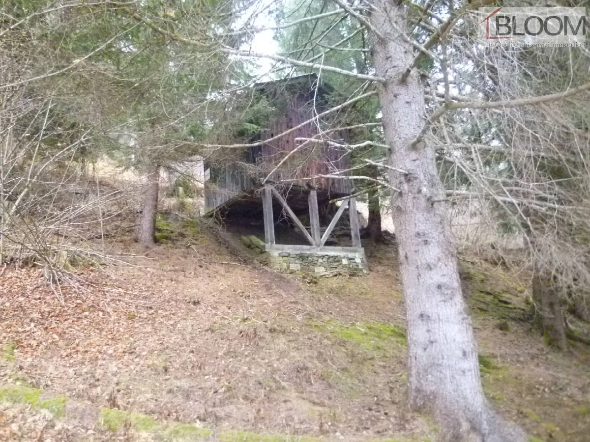 Rustico/Casale in vendita a Valle di Cadore - foto 3