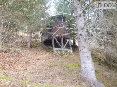 Rustico/Casale in vendita a Valle di Cador... - foto 3